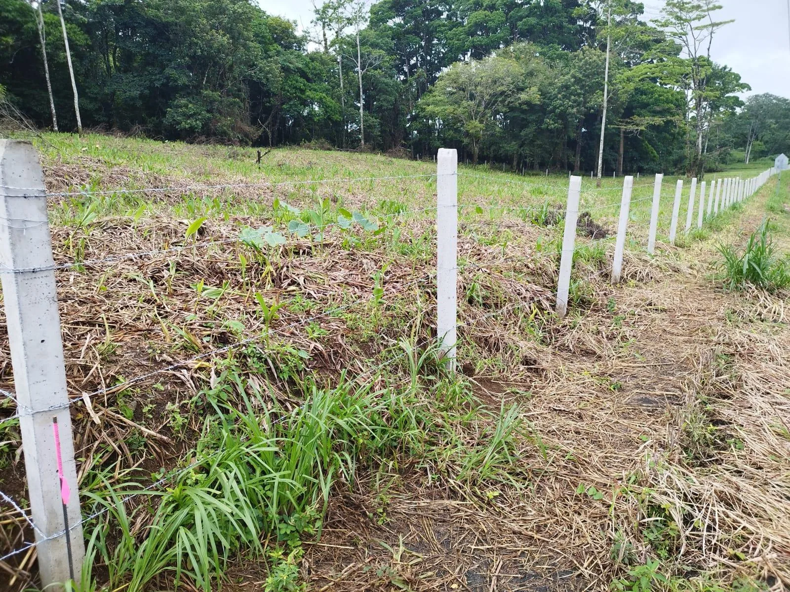 Lote en Heredia Sarapiquí