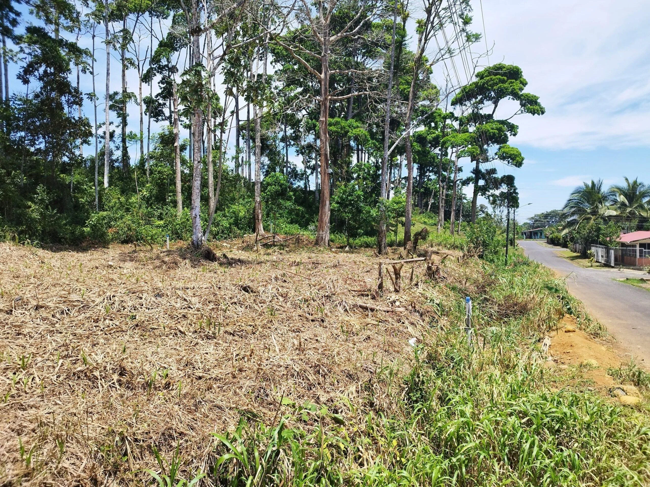 Lote en Heredia Sarapiquí la Virgen 2