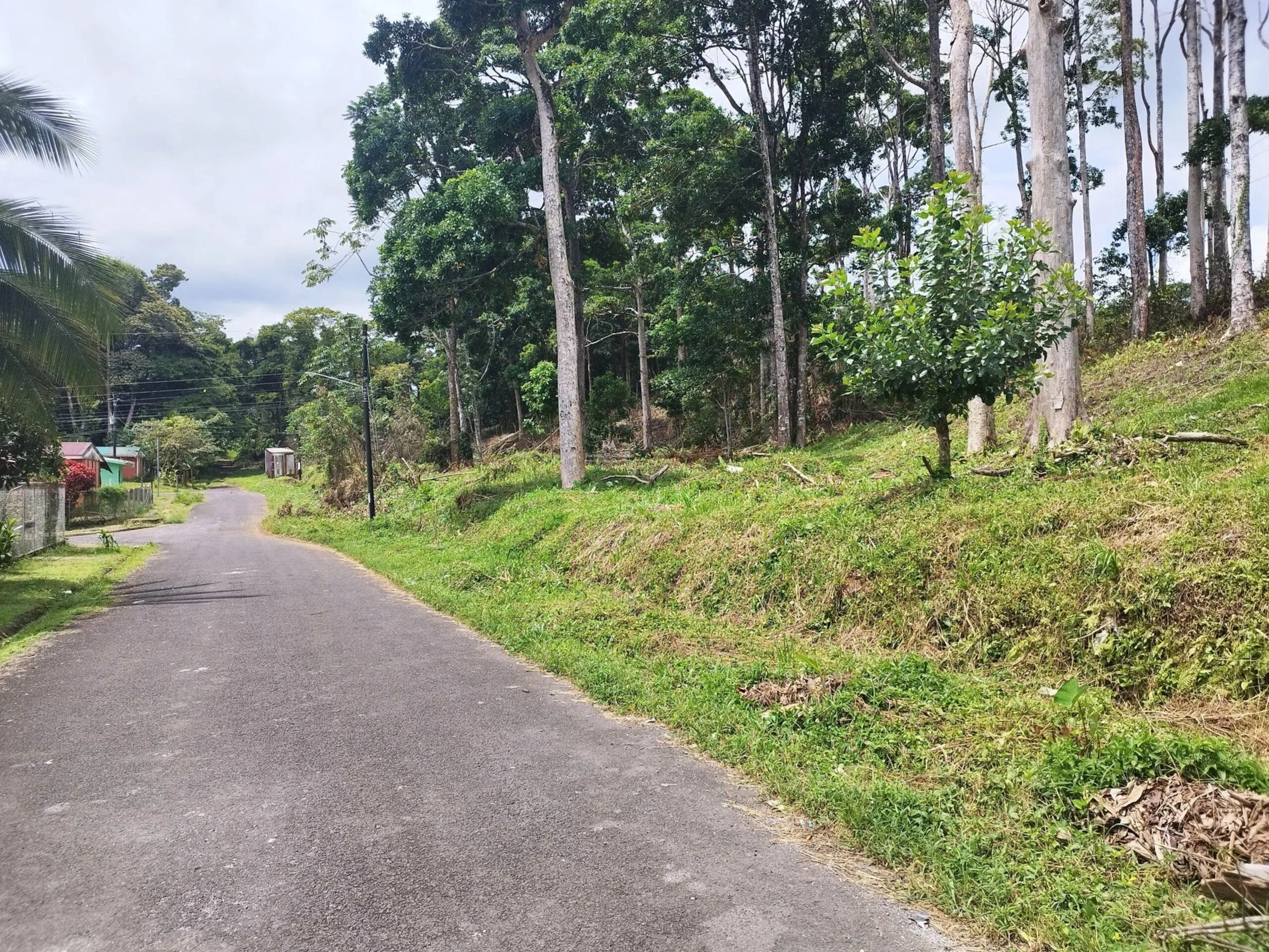 Lote en Heredia Sarapiquí la Virgen 2