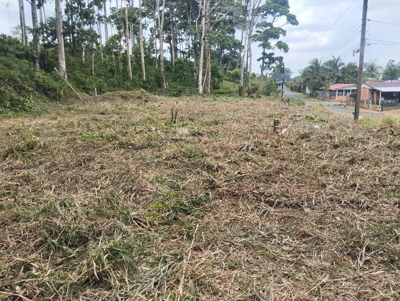 Lote en Heredia Sarapiquí la Virgen 4