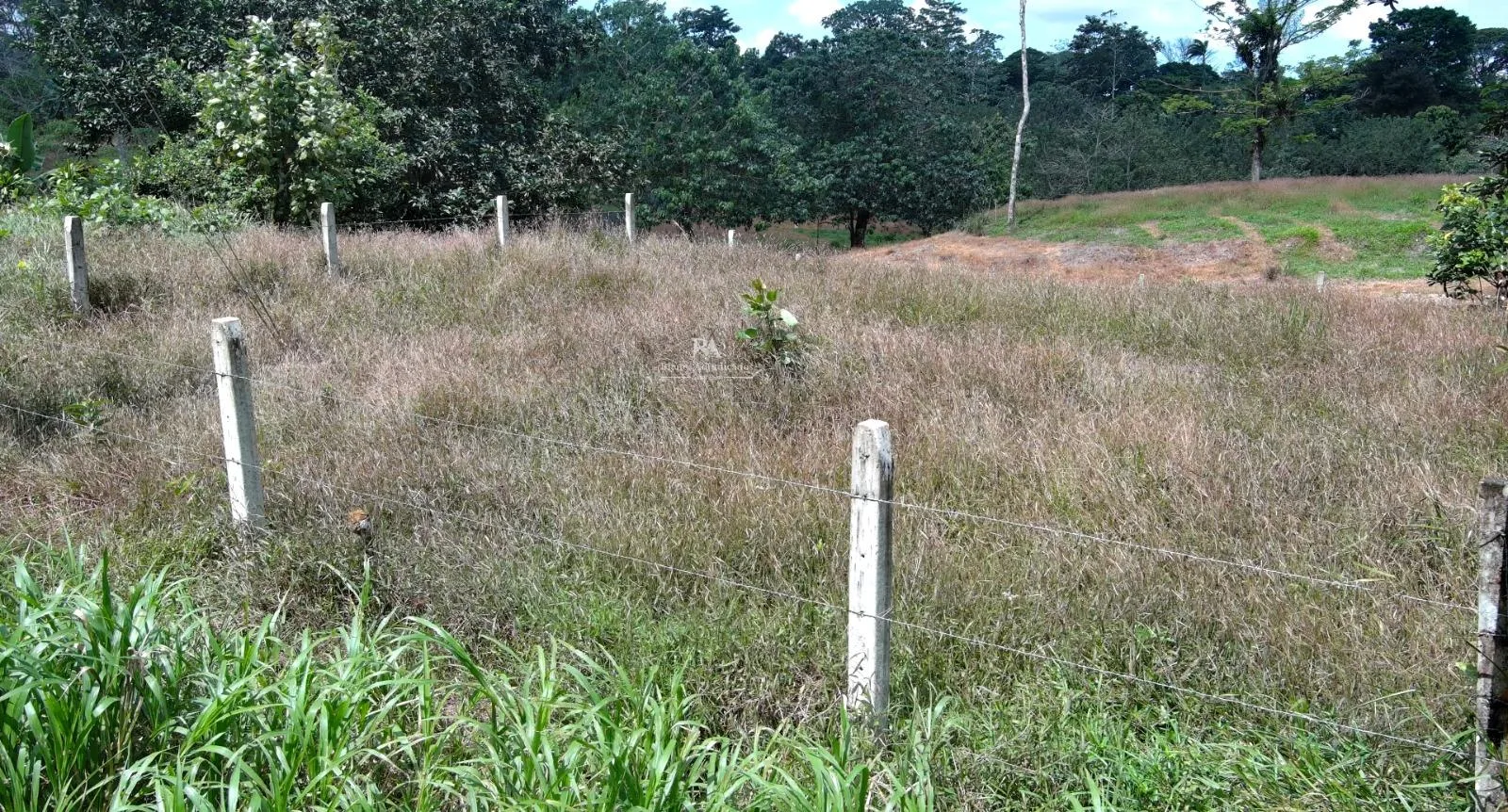 Lote en Heredia Sarapiquí 2