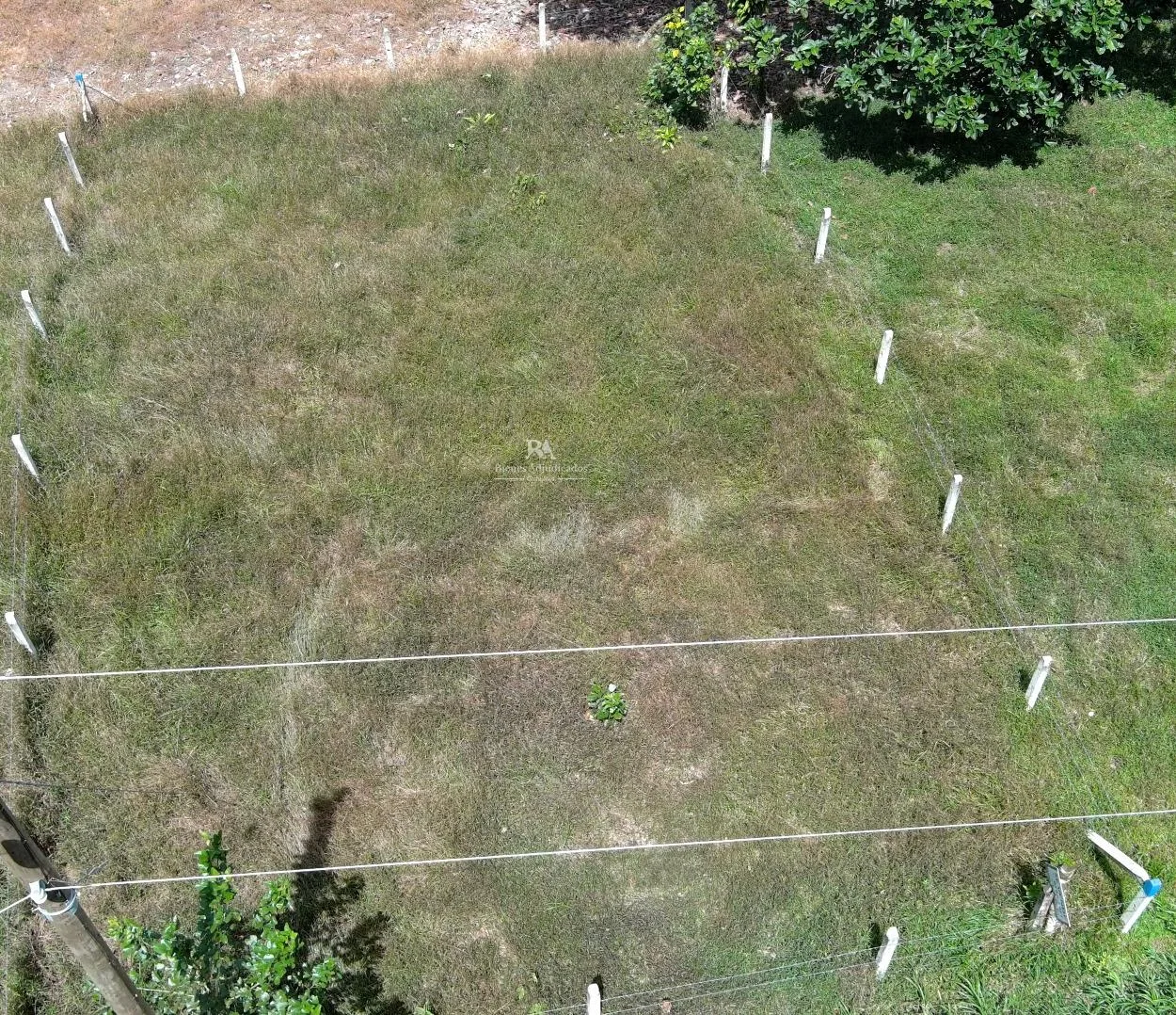 Lote en Heredia Sarapiquí 2