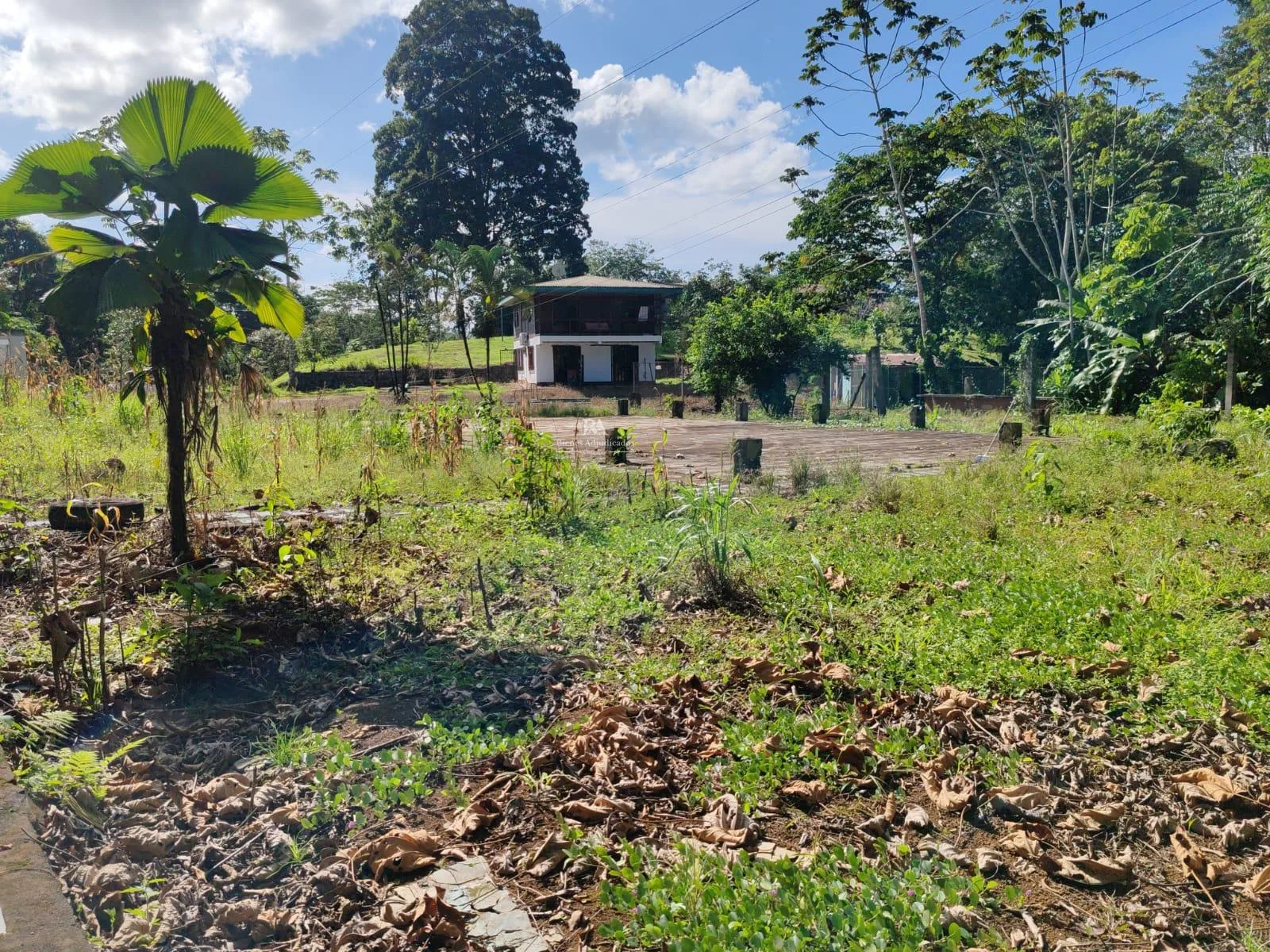 Lote en Horquetas Sarapiquí