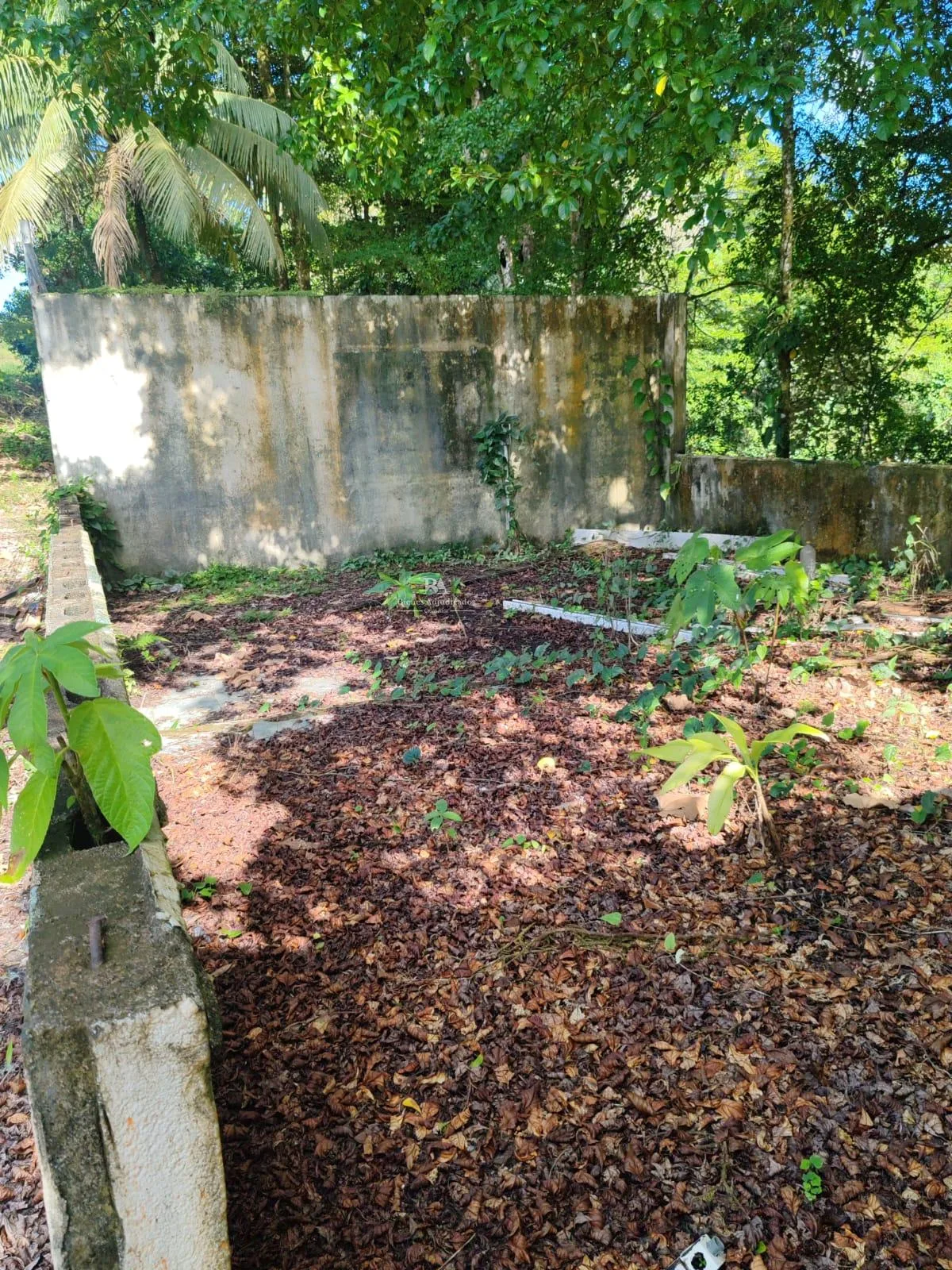 Lote en Horquetas Sarapiquí