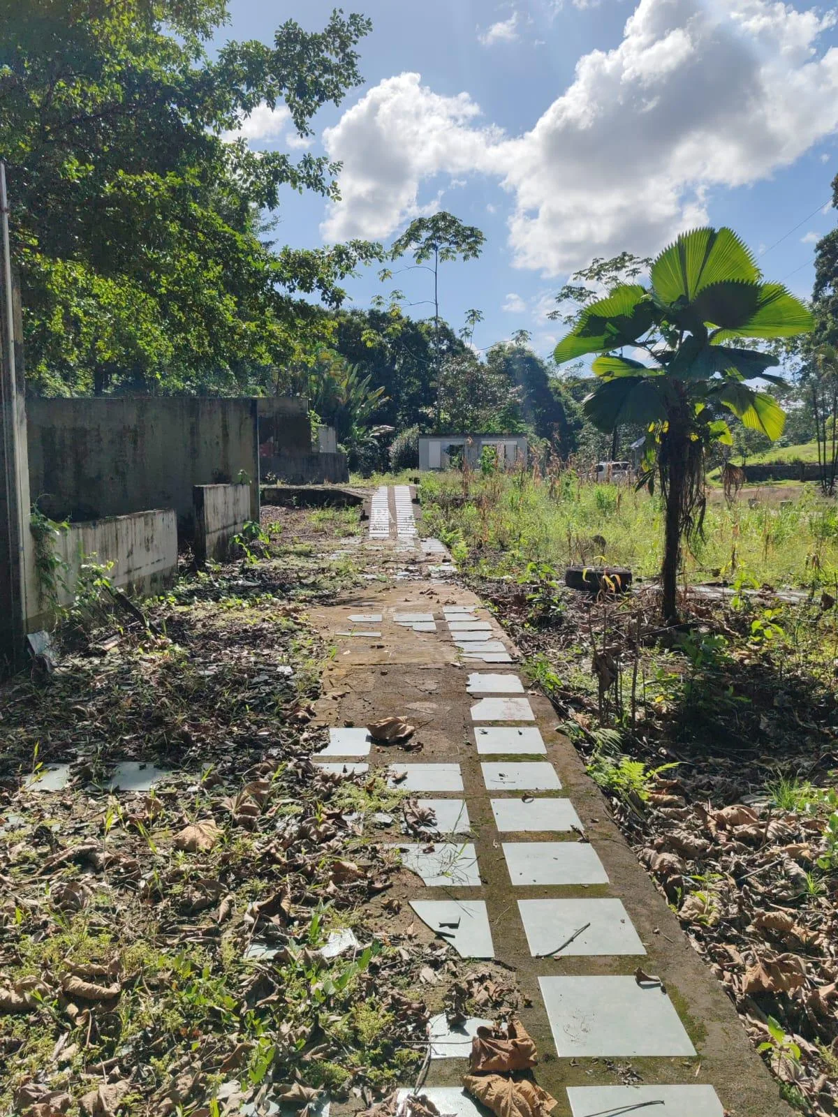 Lote en Horquetas Sarapiquí