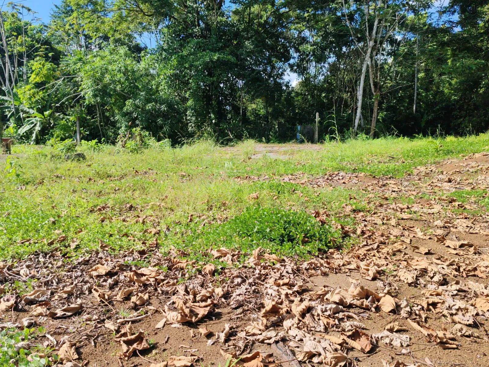Lote en Horquetas Sarapiquí