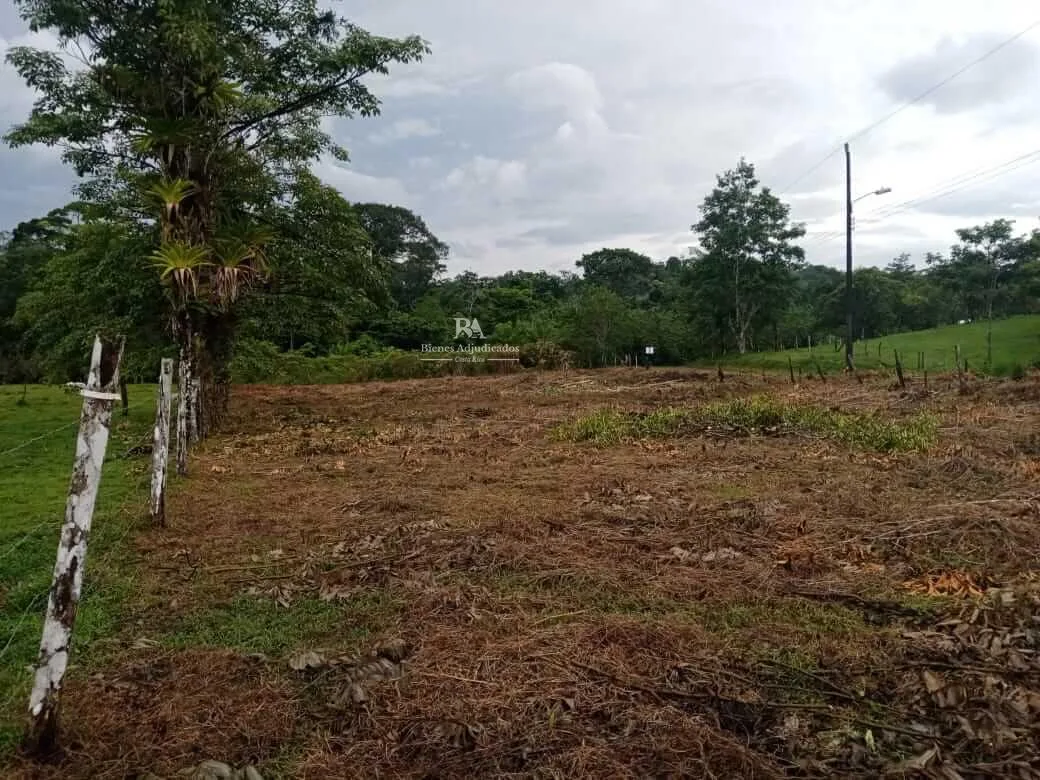 Lote en la Cruz Guanacaste