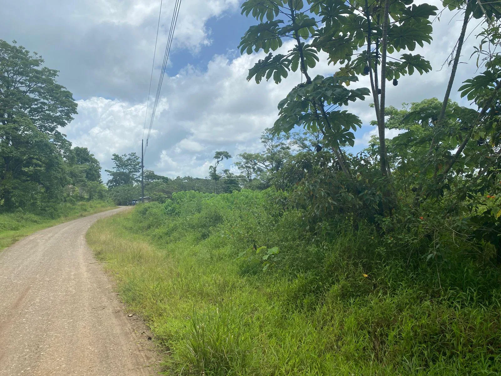 Lote en la Cruz Guanacaste