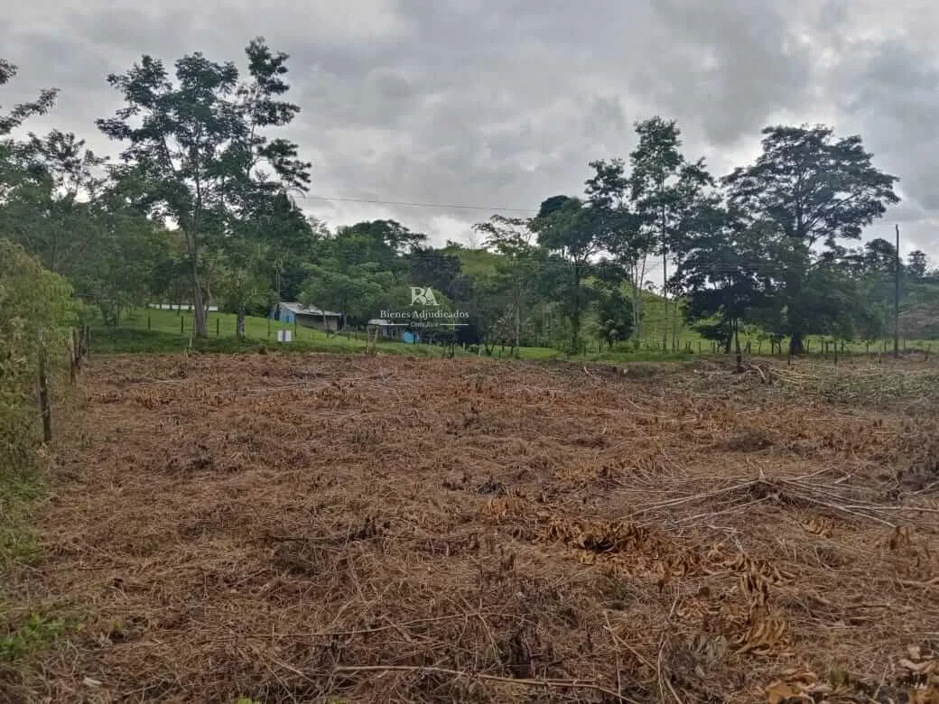Lote en la Cruz Guanacaste