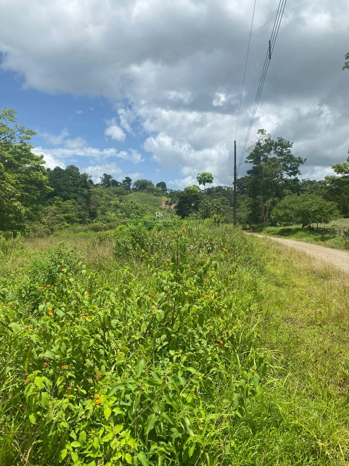Lote en la Cruz Guanacaste