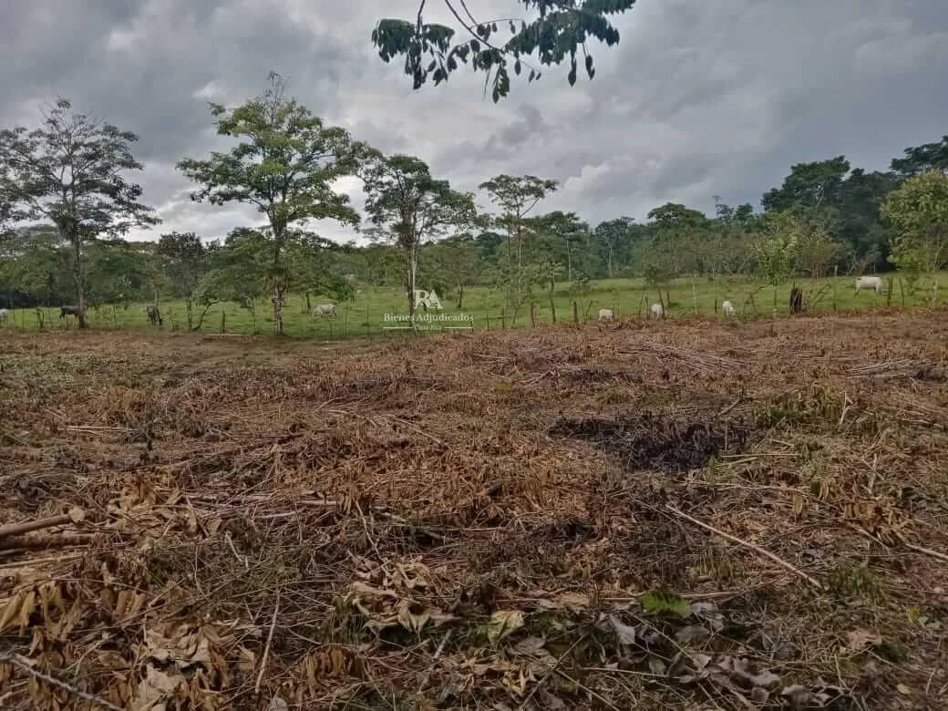 Lote en la Cruz Guanacaste