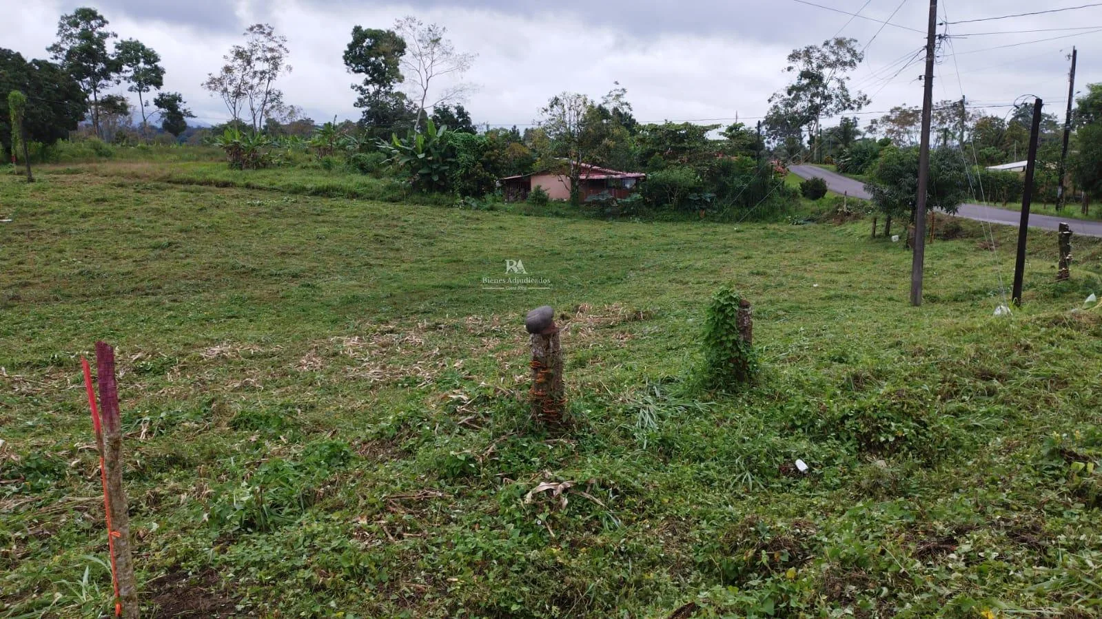 Lote en La Tigra San Carlos 2