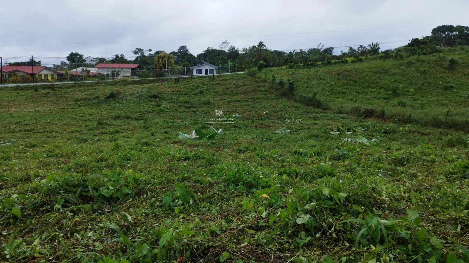 Lote en La Tigra San Carlos 3