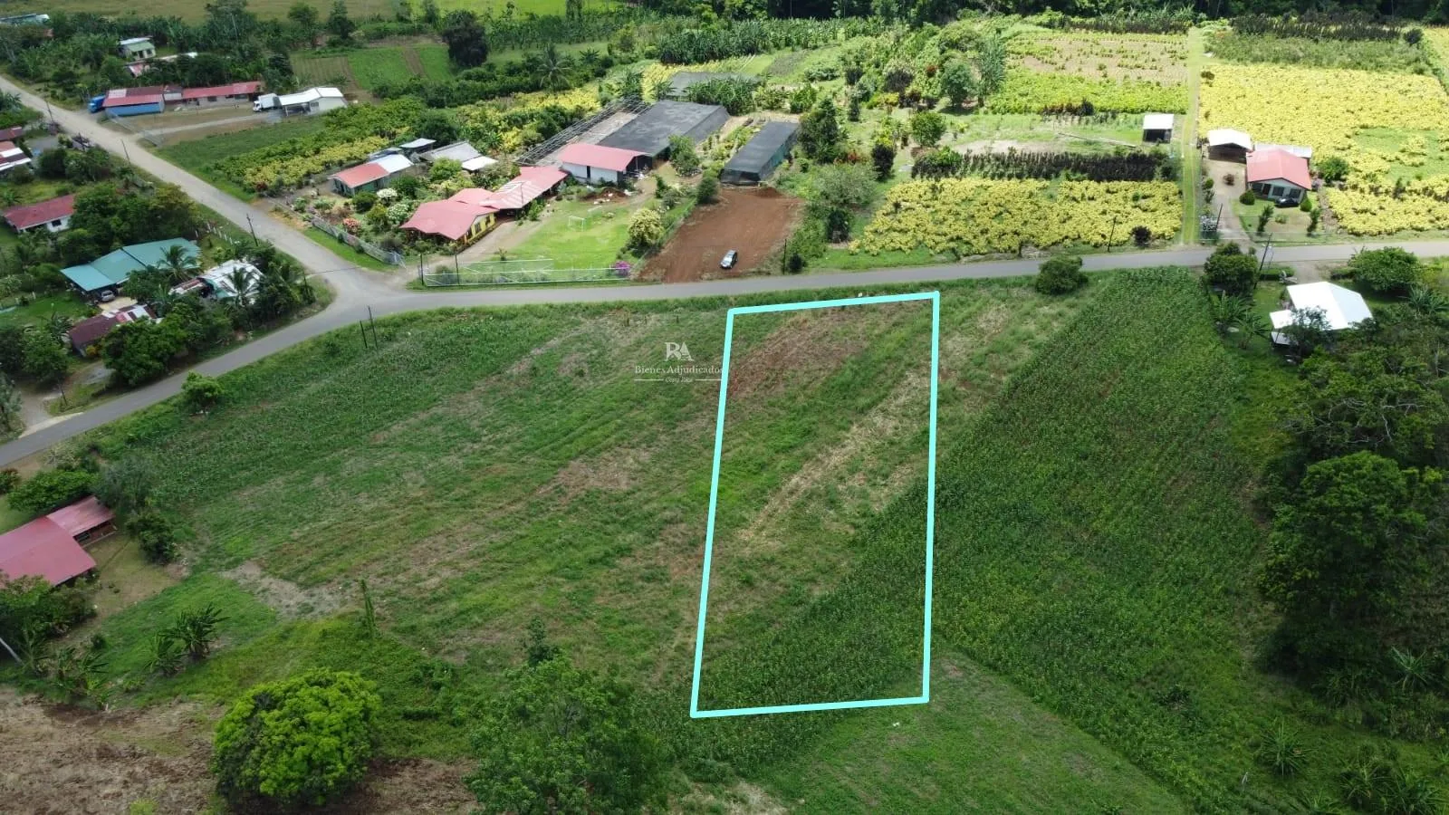 Lote en La Tigra San Carlos