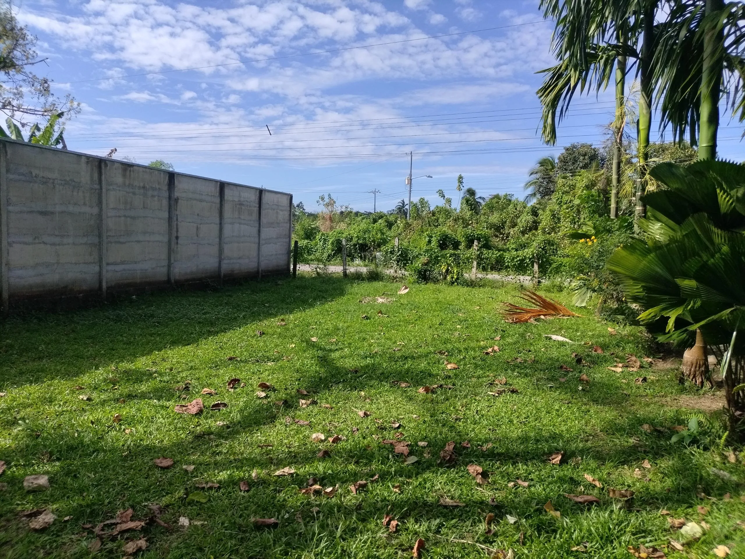 Lote en Las Horquetas Sarapiquí