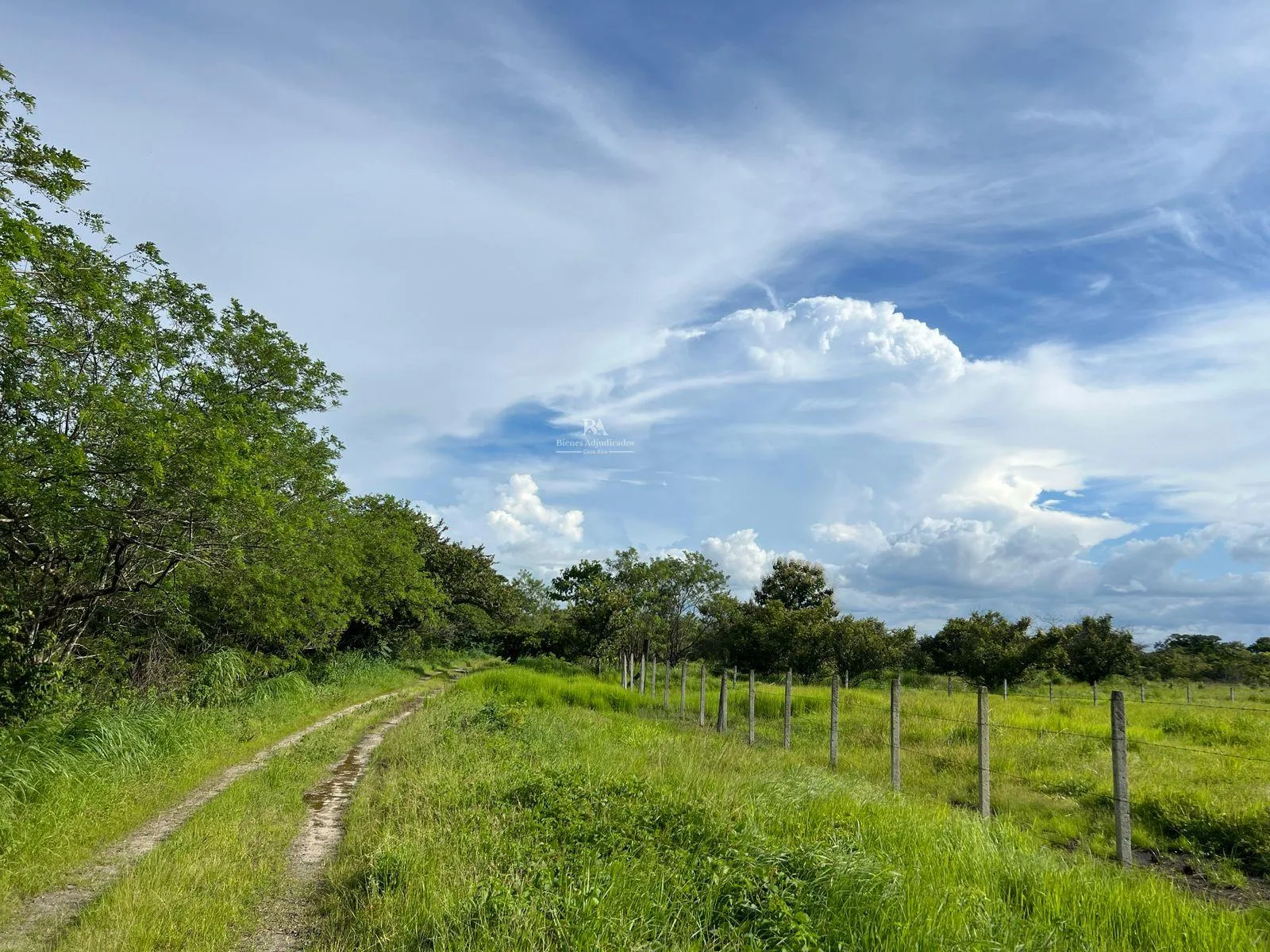 Lote en Liberia Guanacaste