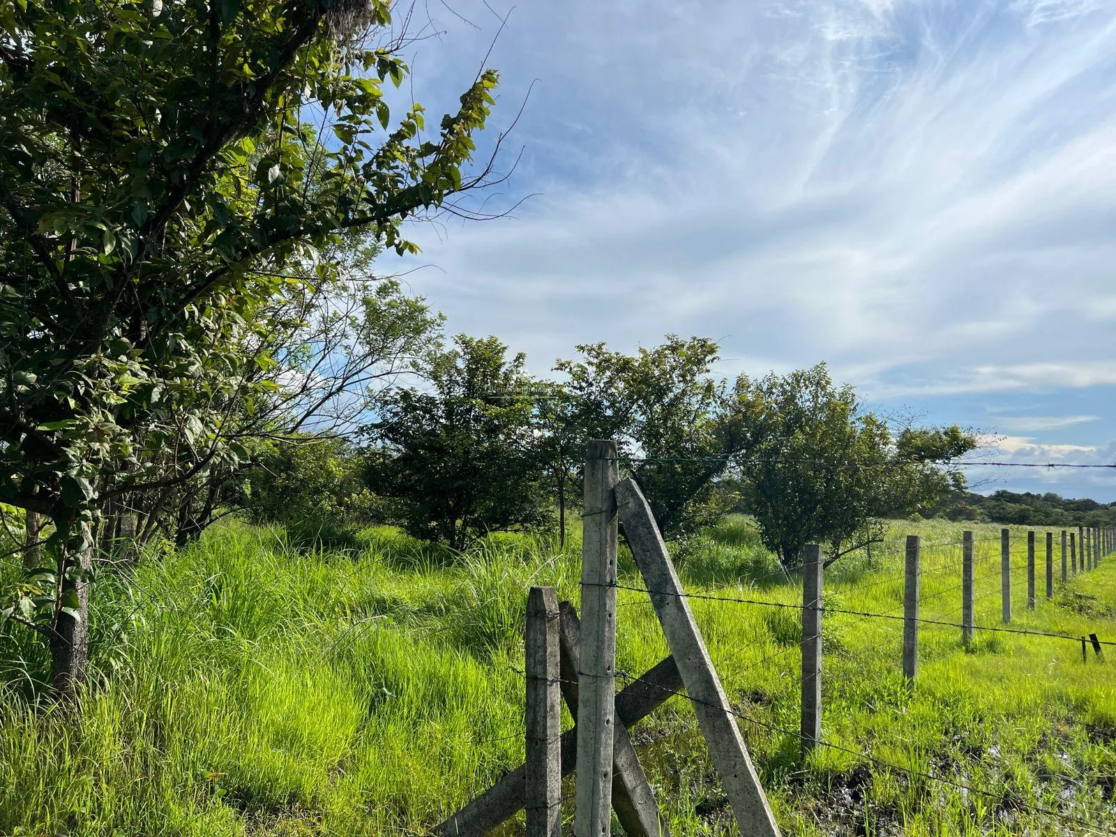 Lote en Liberia Guanacaste