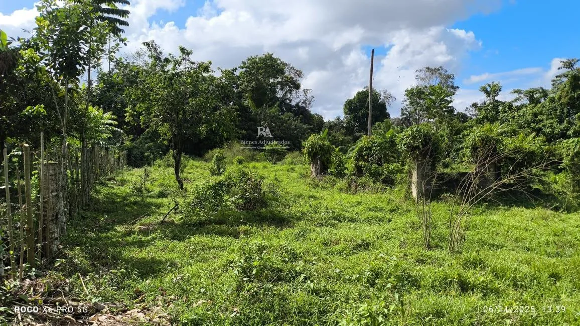 Lote en Limón Guácimo
