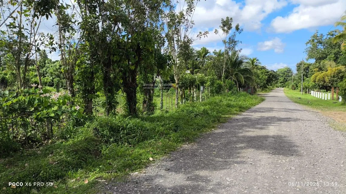 Lote en Limón Guácimo