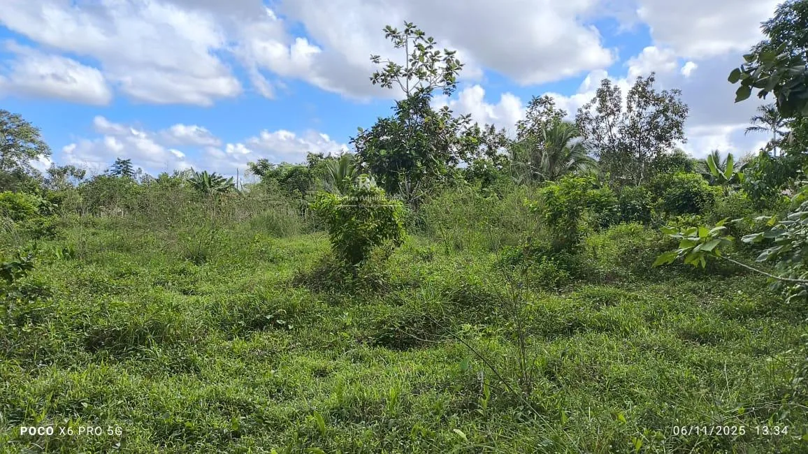 Lote en Limón Guácimo