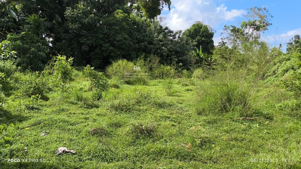 Lote en Limón Guácimo
