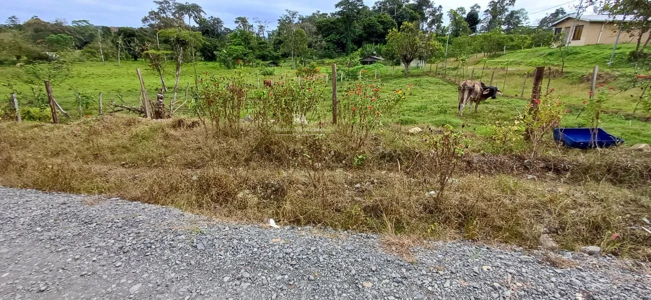 Lote en Limón La Aurora
