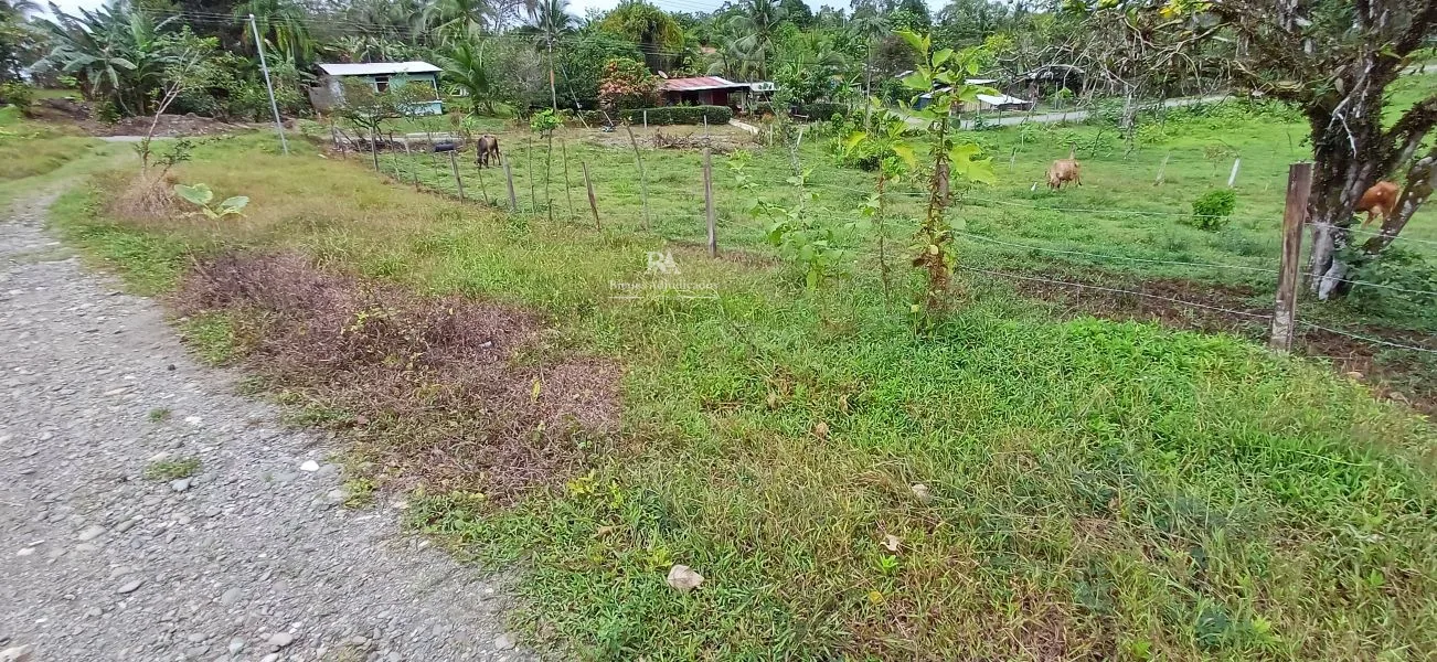 Lote en Limón La Aurora