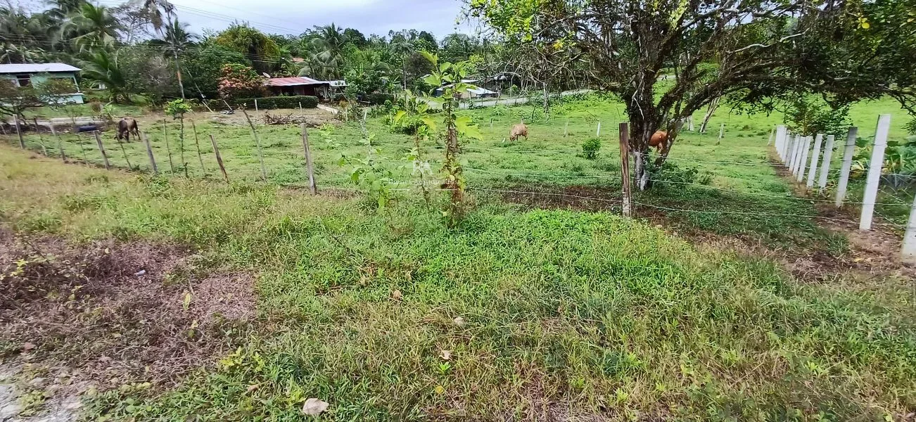 Lote en Limón La Aurora