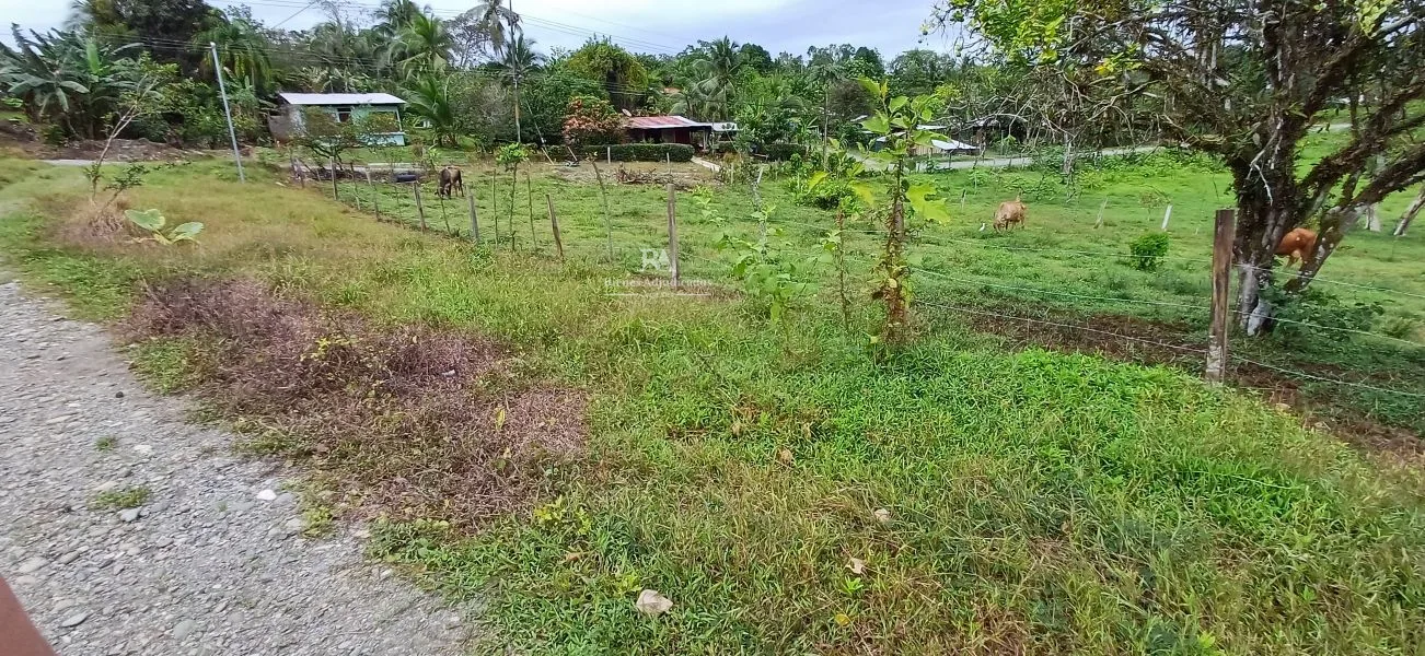 Lote en Limón La Aurora