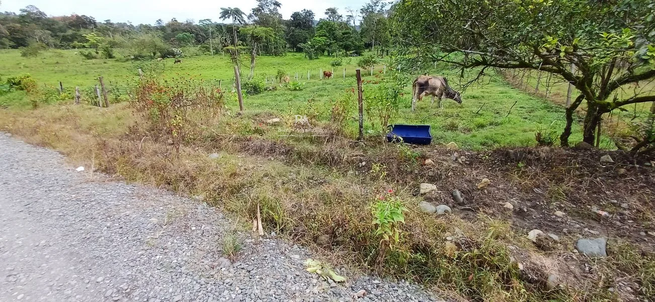 Lote en Limón La Aurora