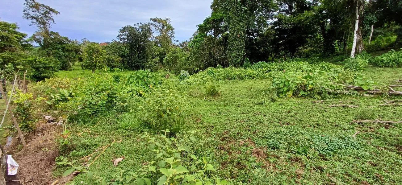 Lote en Limón la Aurora