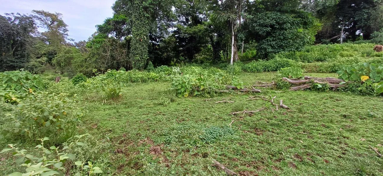Lote en Limón la Aurora
