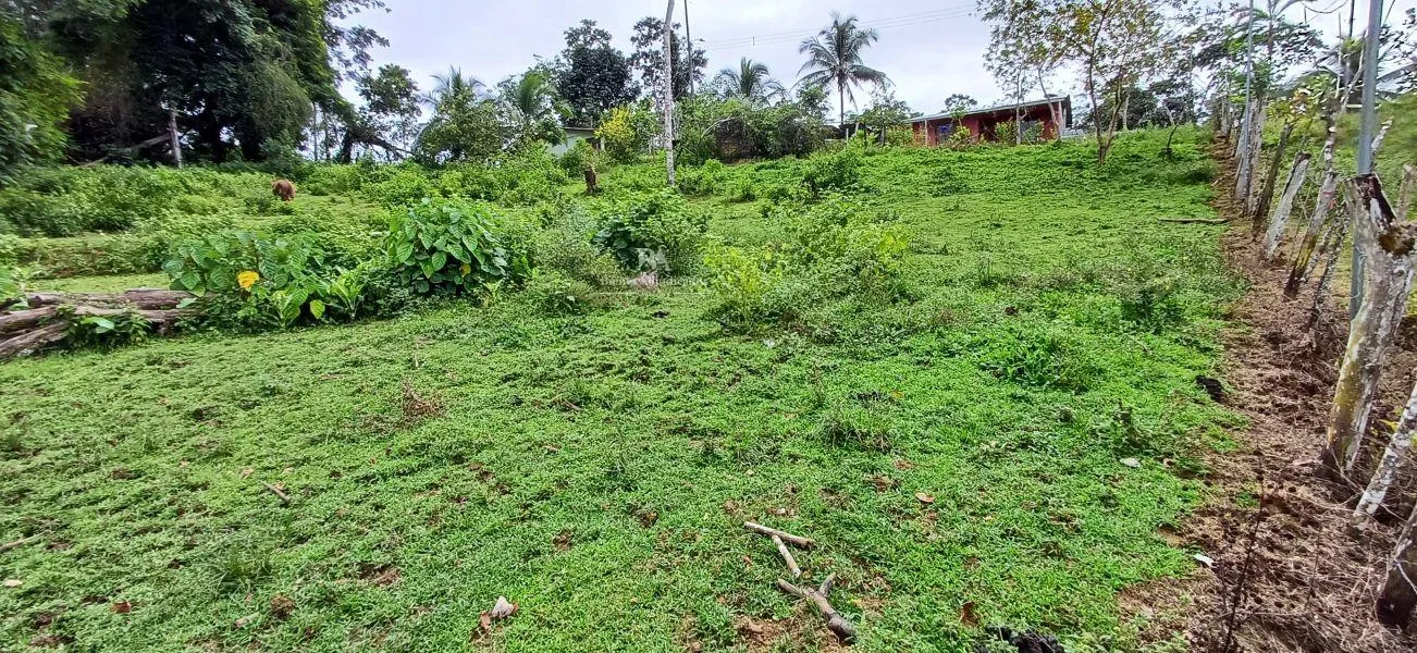 Lote en Limón la Aurora