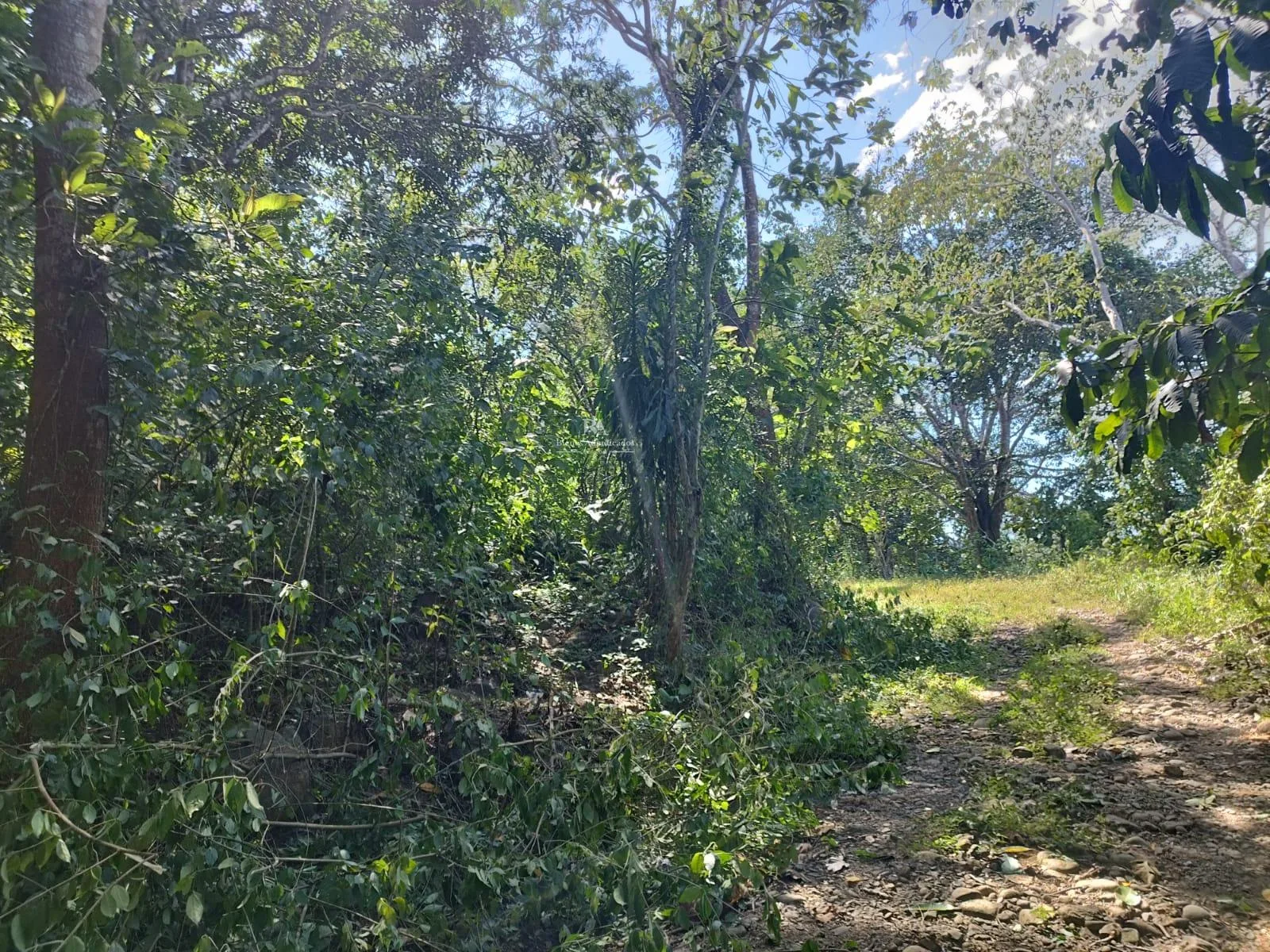 Lote en Miramar de Puntarenas