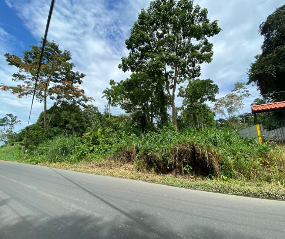 Lote en Moín Limón