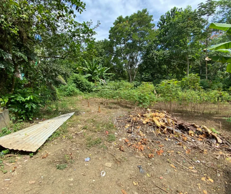 Lote en Moín Limón