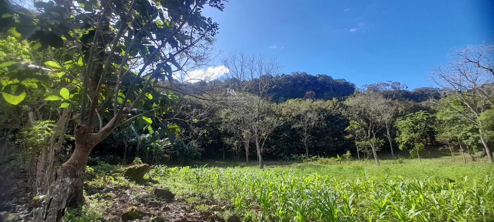 Lote en Mora Colón #90