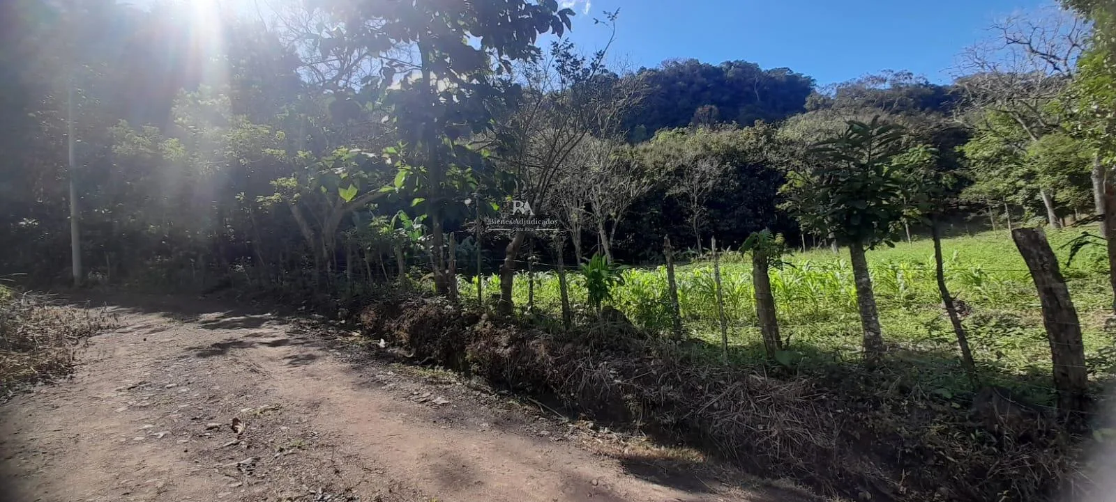 Lote en Mora Colón #90