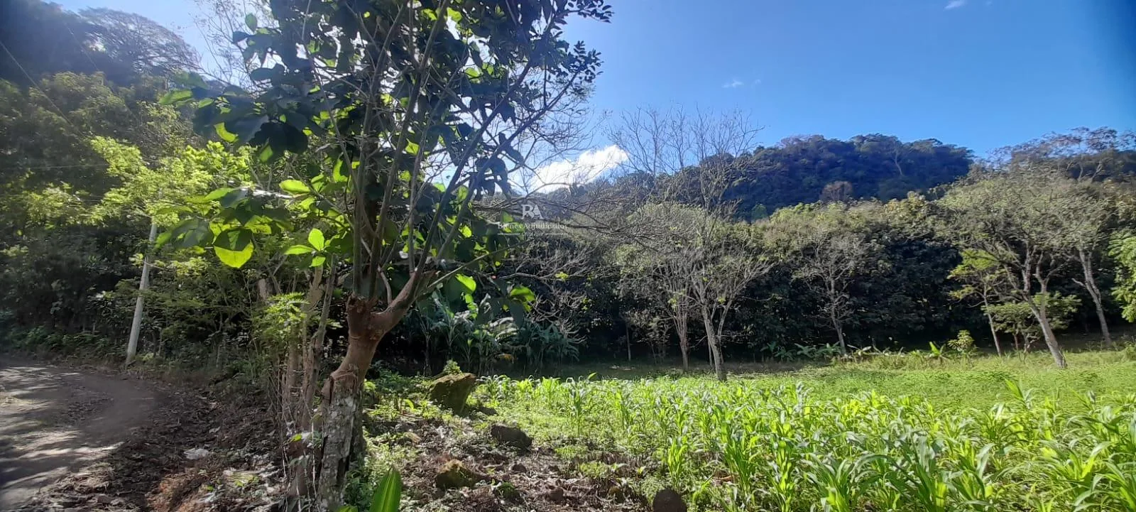 Lote en Mora Colón #90