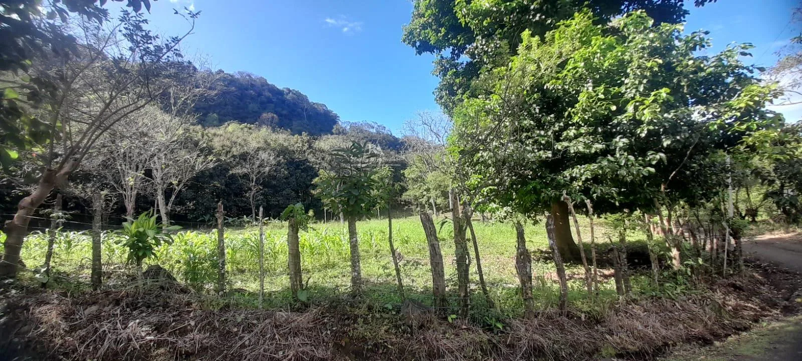 Lote en Mora Colón #90
