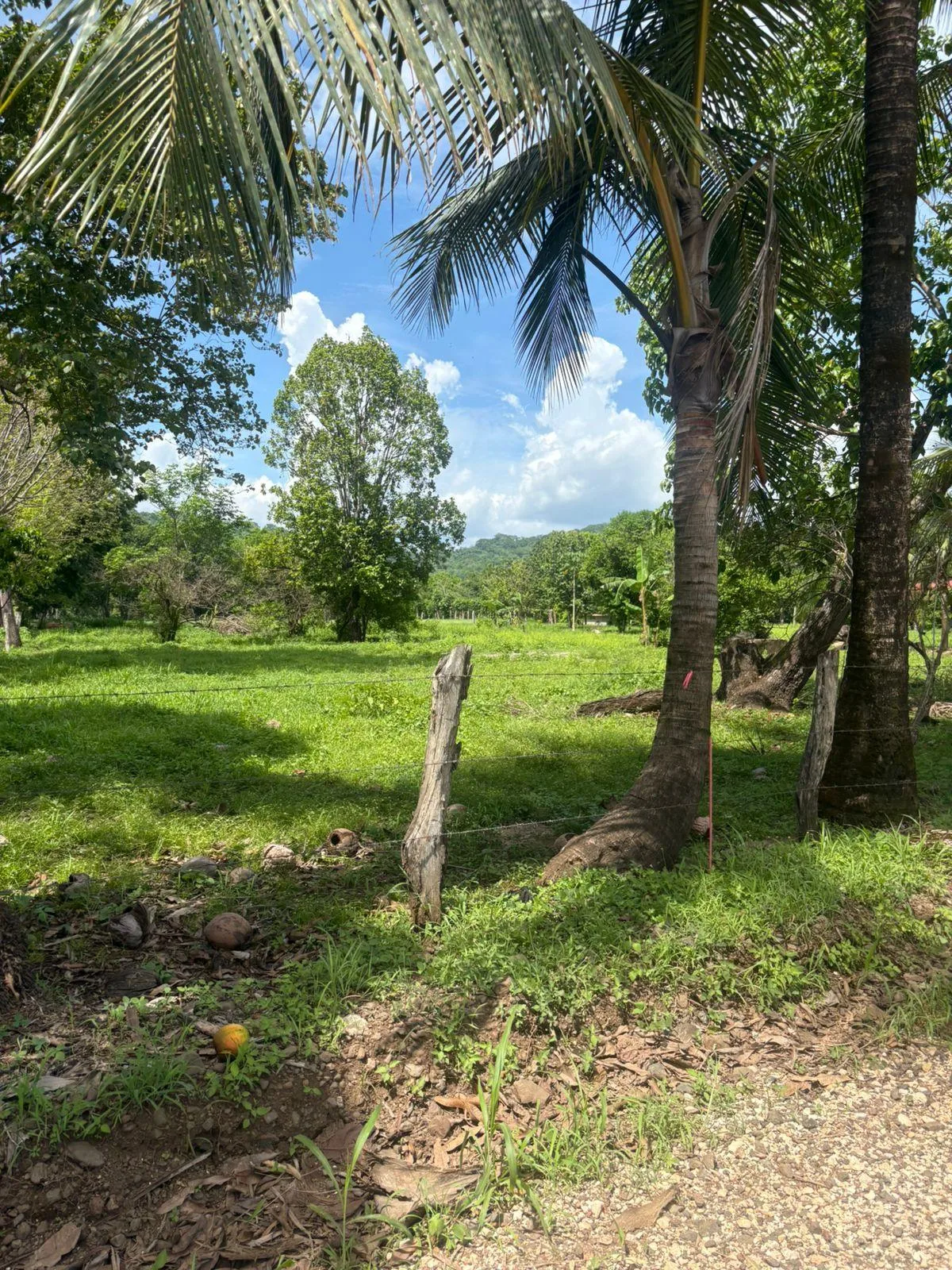 Lote en Nandayure Guanacaste