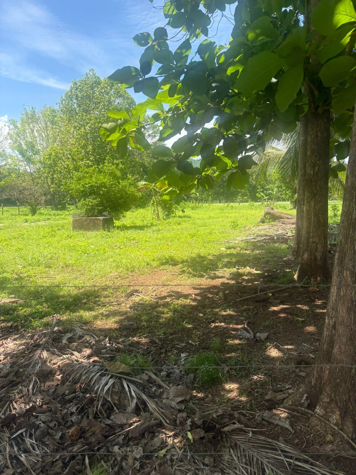Lote en Nandayure Guanacaste