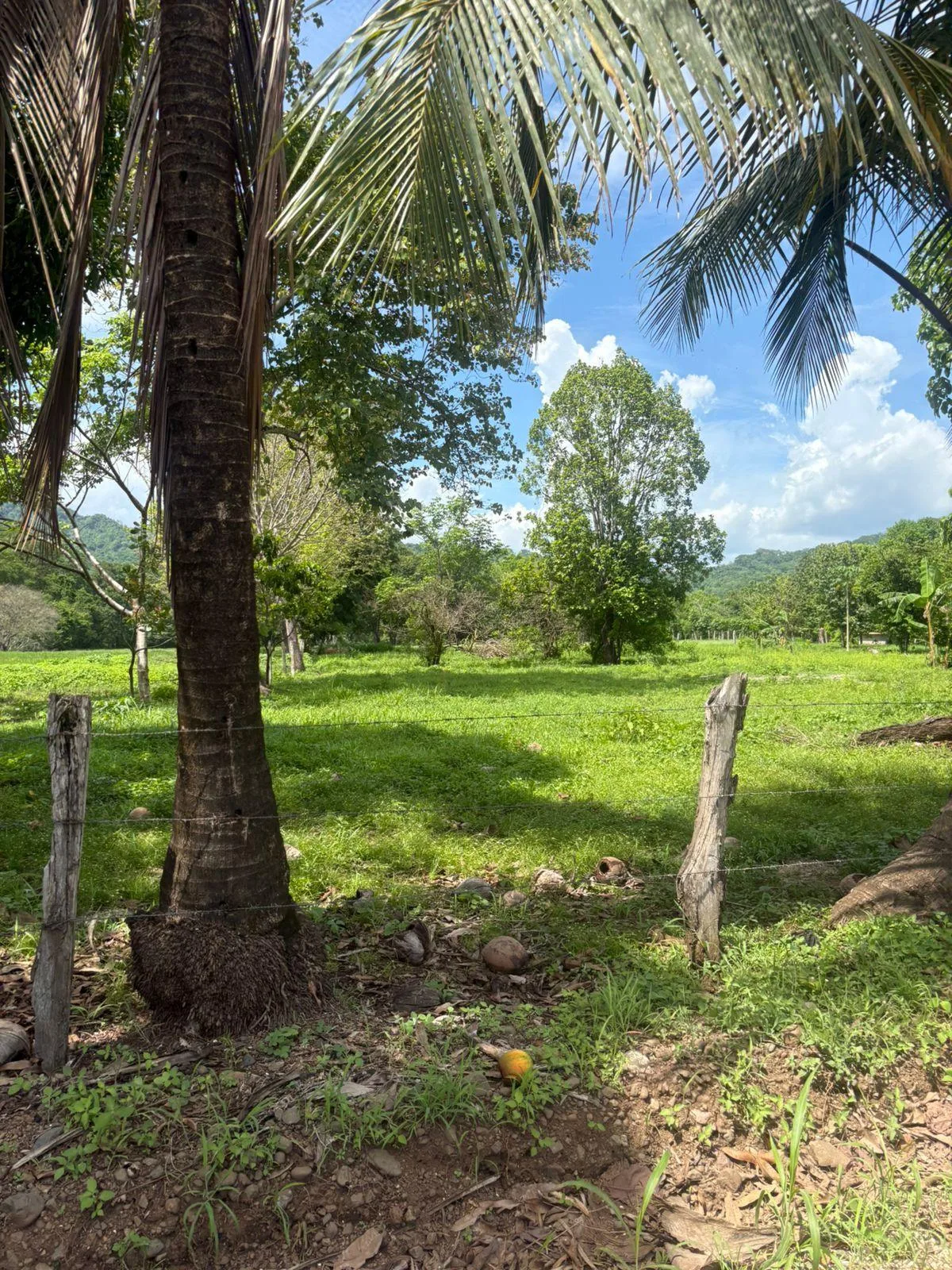 Lote en Nandayure Guanacaste