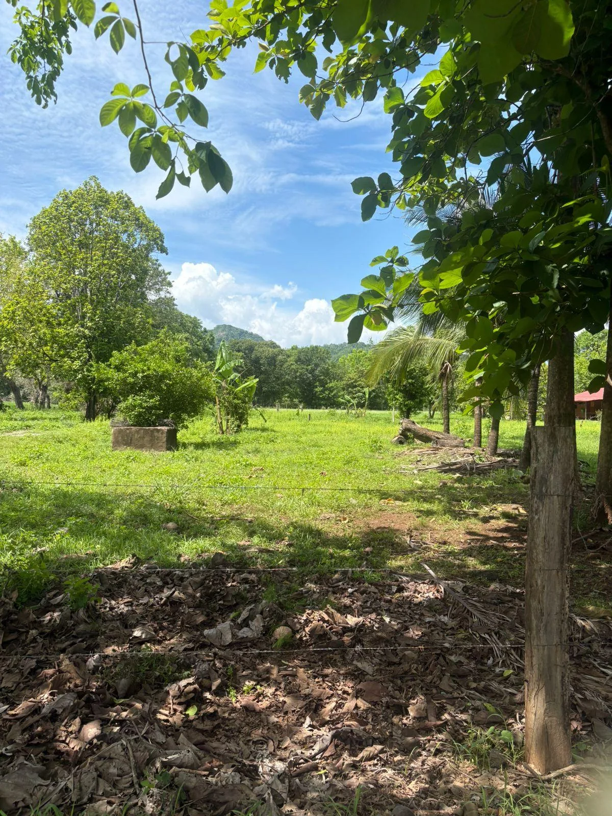 Lote en Nandayure Guanacaste