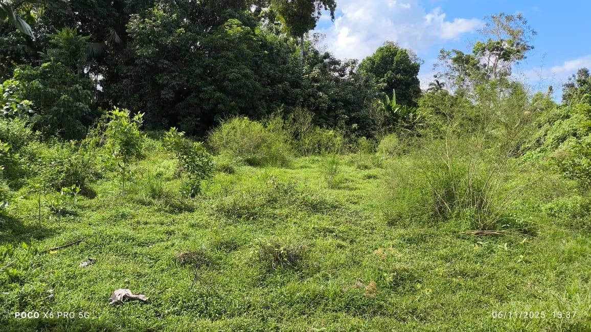 Lote en Nandayure Guanacaste