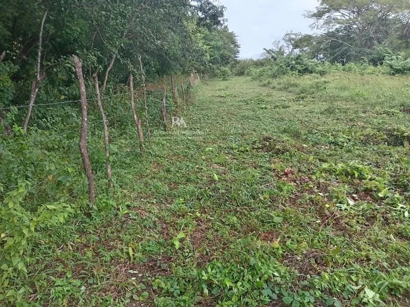 Lote en Nicoya Guanacaste
