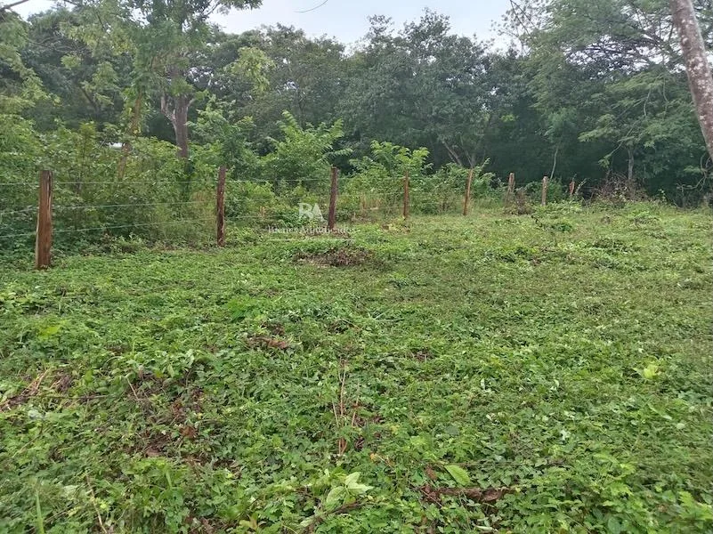 Lote en Nicoya Guanacaste