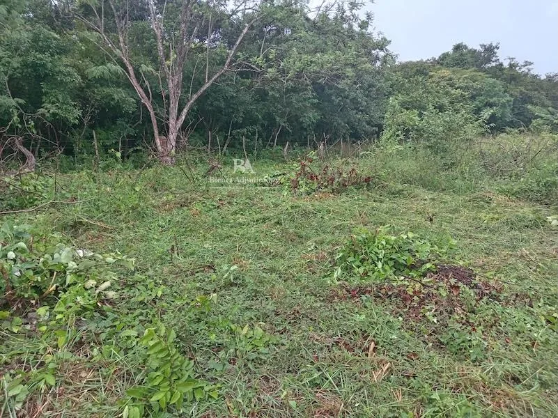 Lote en Nicoya Guanacaste
