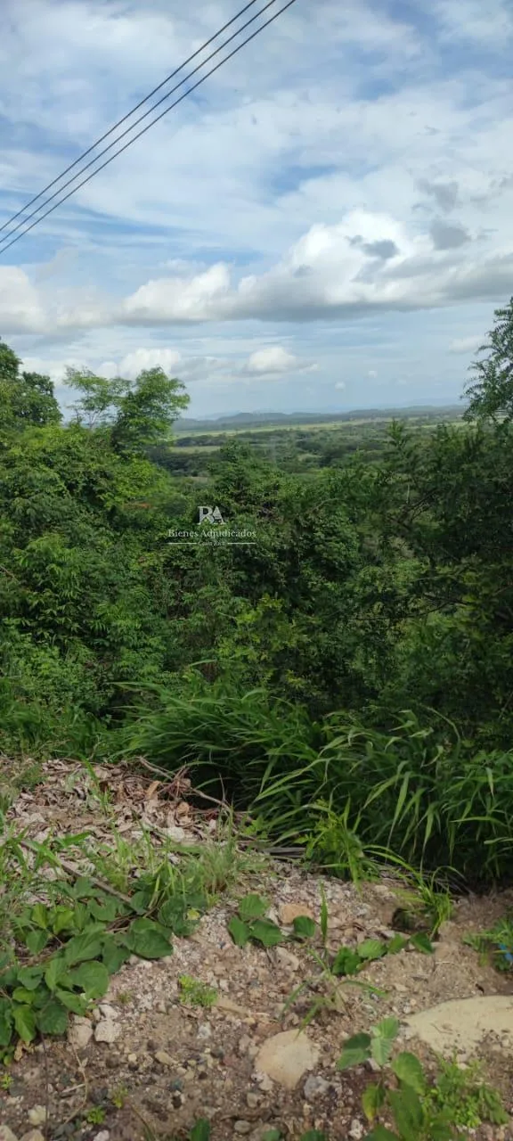 Lote en Papagayo Guanacaste
