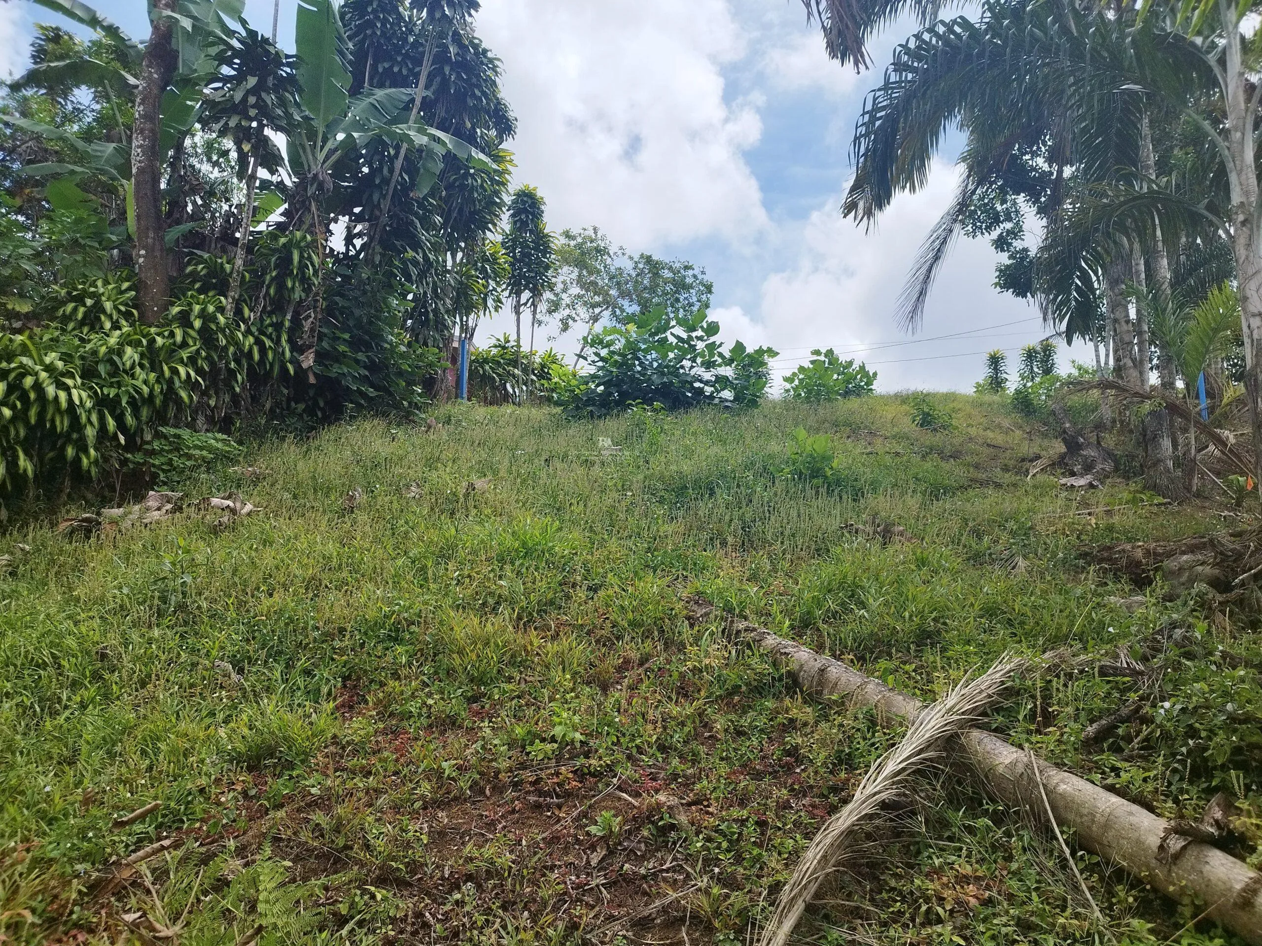 Lote en Pérez  Zeledón